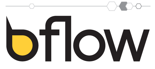Bflow test web